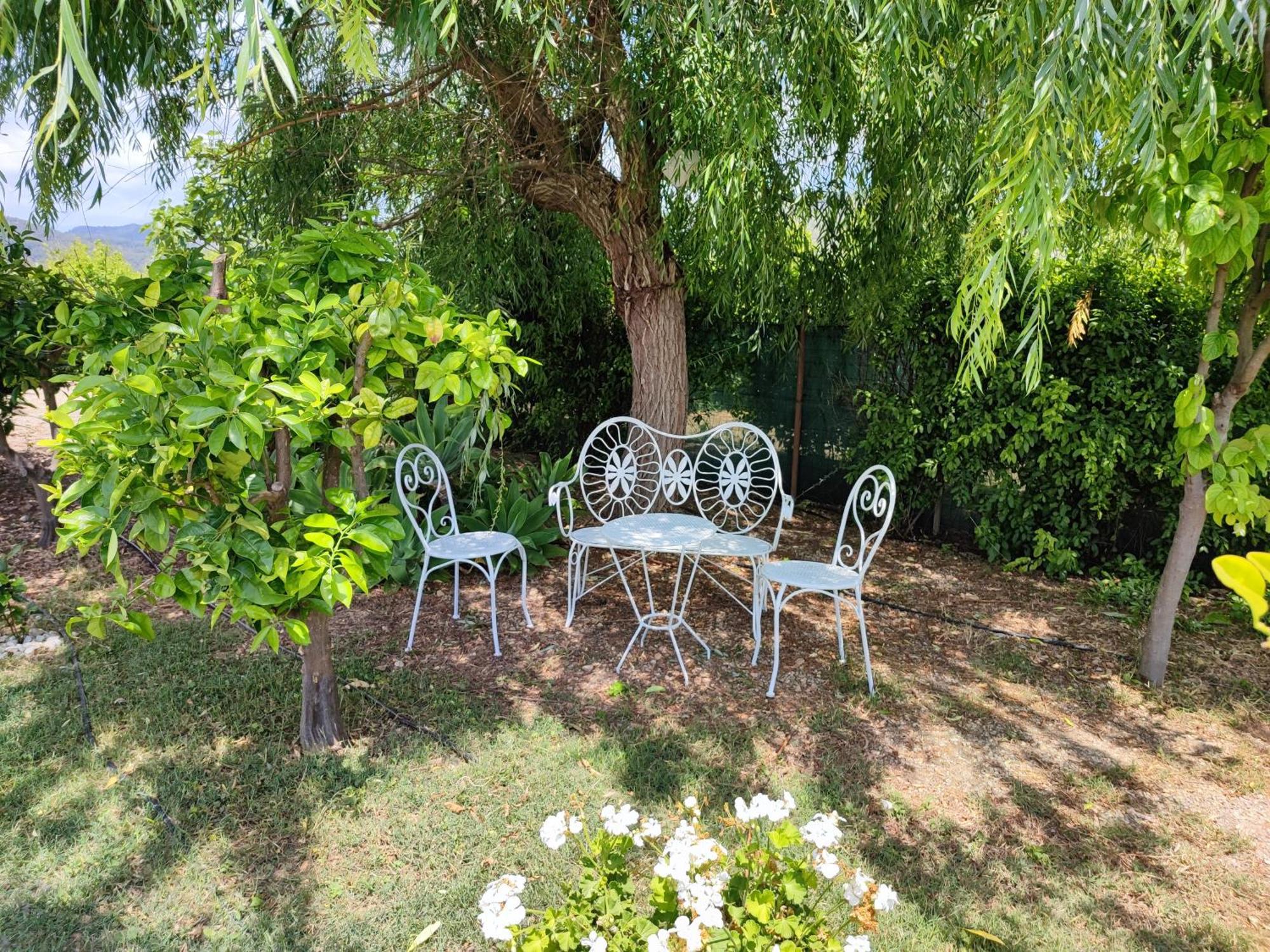 Els Tarongers Perfect For Families Or Friends Casa de Férias